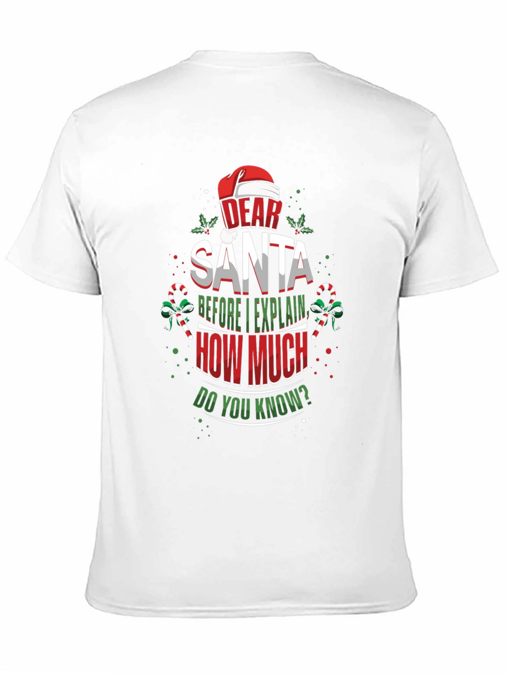 Dear Santa Christmas T-Shirt