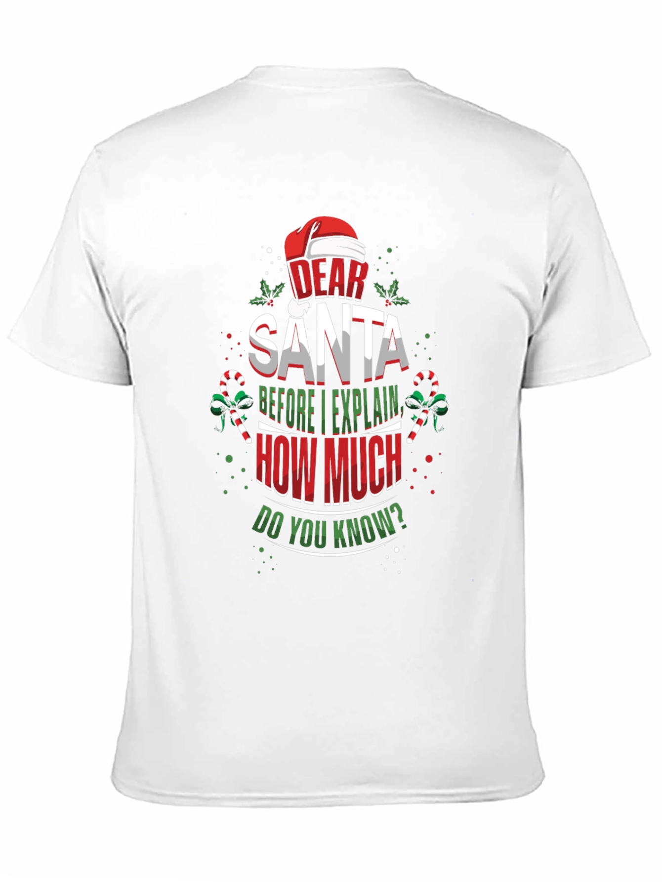 Dear Santa Christmas T-Shirt