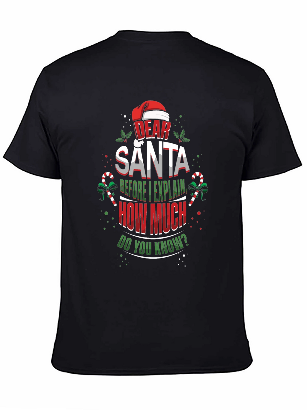 Dear Santa Christmas T-Shirt