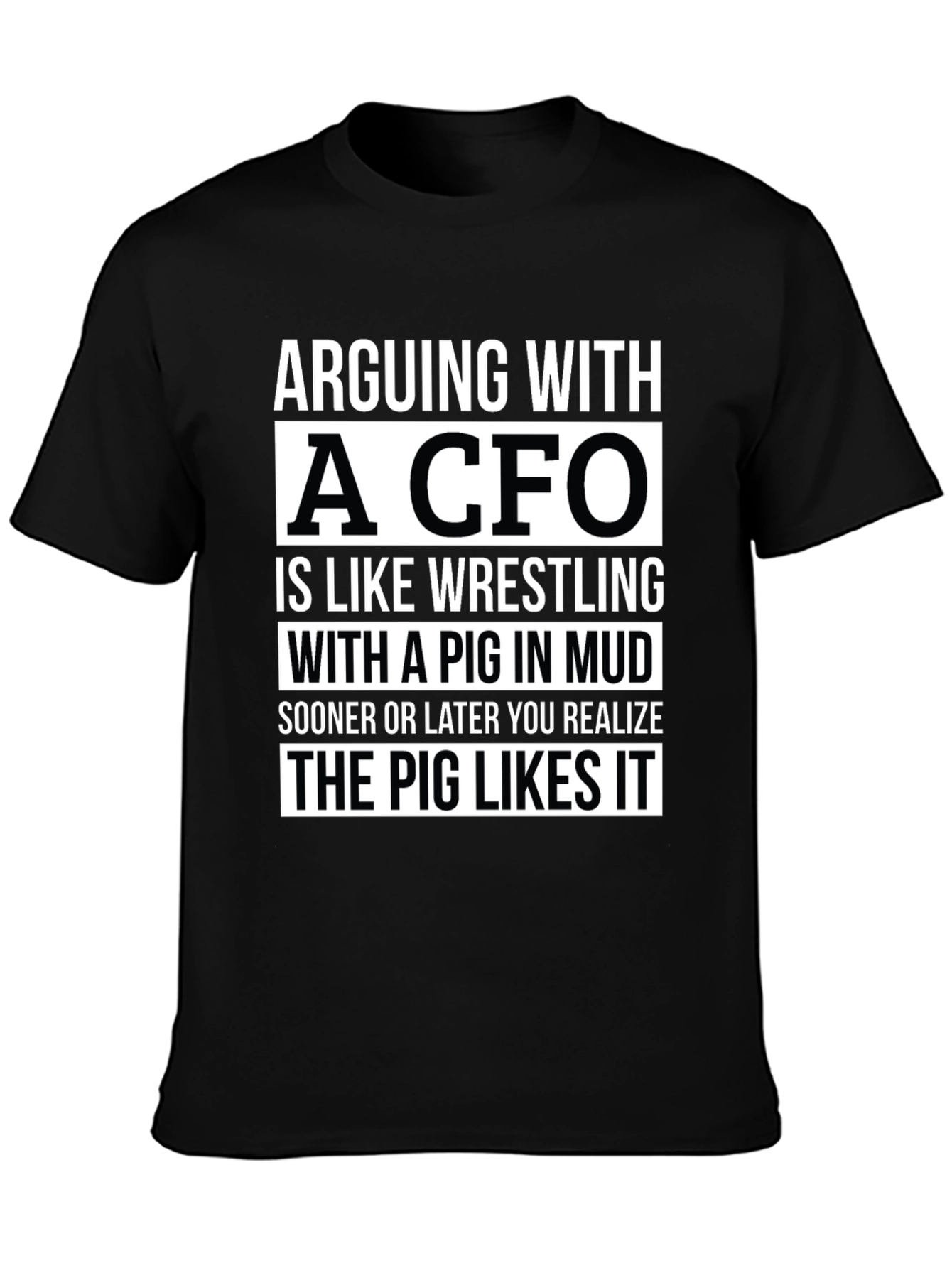 Arguing with a CFO T-Shirt Funny Finance Gift