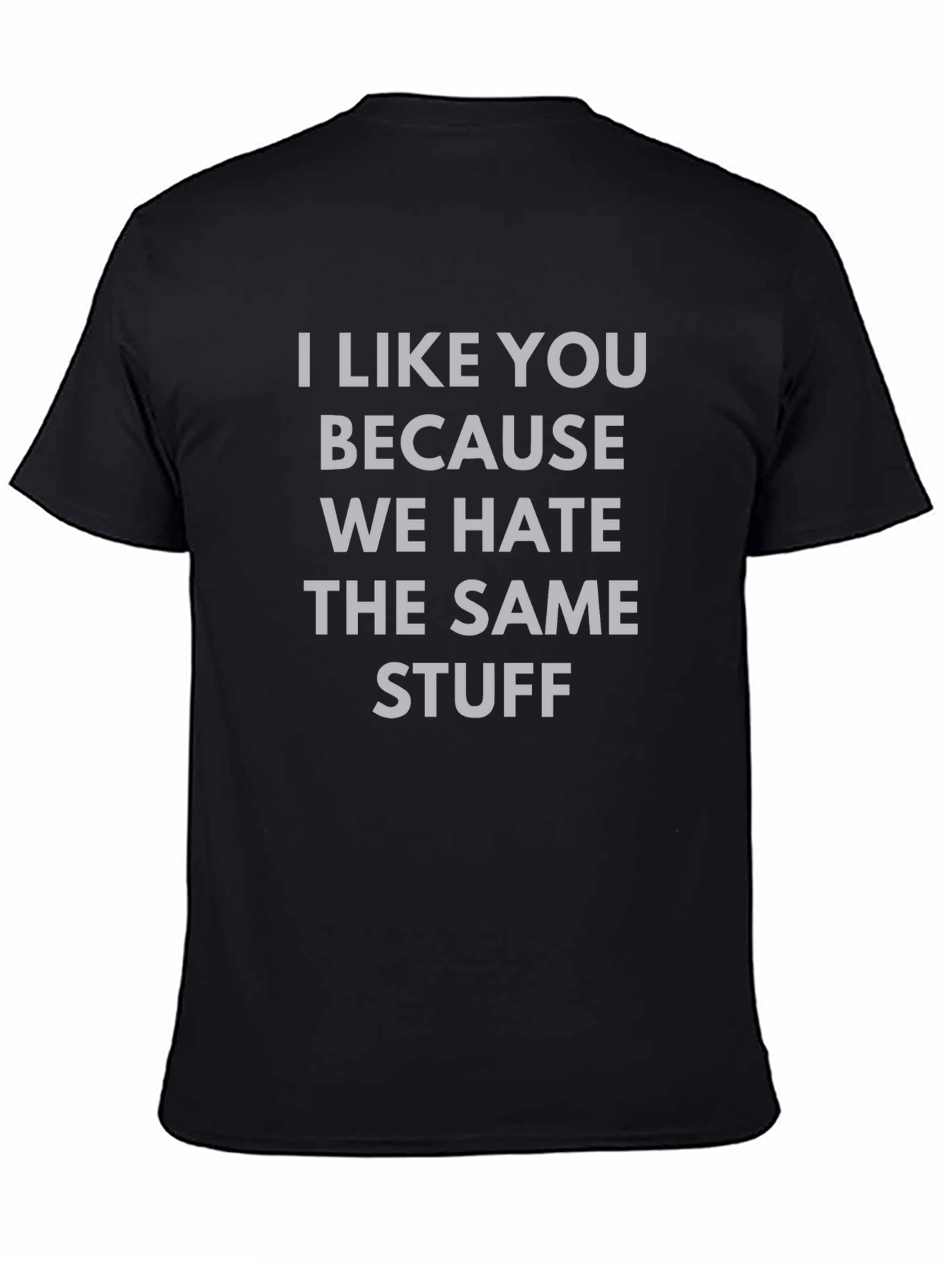 Funny Graphic Tee: I Like You Because We Hate Stuff